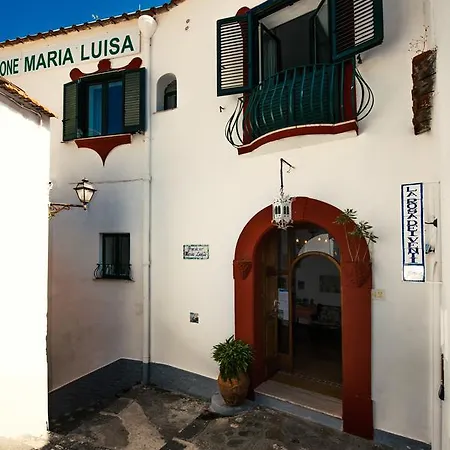 Maria Luisa